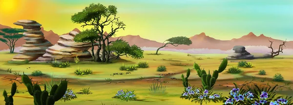 Den Afrikanska Savannens Ökenlandskap Tidigt Morgonen Digital Målning Bakgrund Illustration — Stockfoto