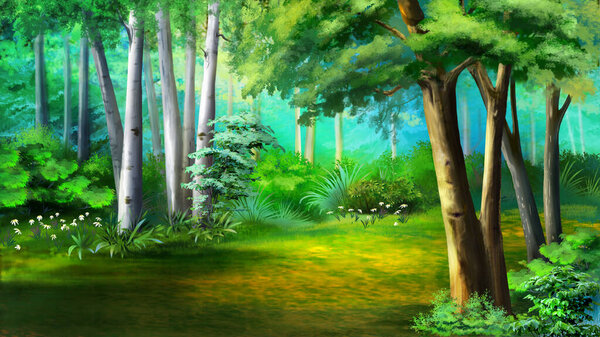 Forest glade on a sunny summer day. Digital Painting Background, Illustration.