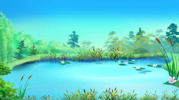 Small Pond Lilies Reeds Sunny Day Digital Painting Background Illustration — Stock Photo, Image