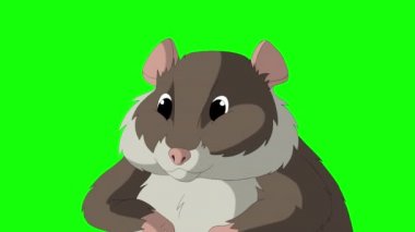 Kahverengi hamster yakın plan. El yapımı animasyon 4K görüntüler yeşil ekranda izole edildi
