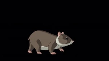 Kahverengi hamster yürüyor. El yapımı animasyon 4K görüntüleri alfa kanalı ile izole edildi. 