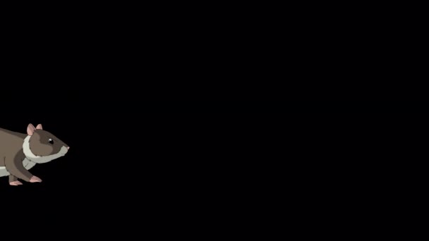 Браун Хемстер Ходить Туди Сюди Анімовані Кадри Ізольовані Альфа Каналом — стокове відео