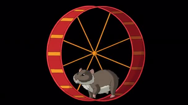 棕色仓鼠在轮子上奔跑 手工制作的动画4K画面 用阿尔法通道隔离 — 图库视频影像