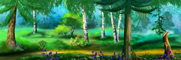 Caminho Entre Árvores Floresta Dia Ensolarado Pintura Digital Fundo Ilustração — Fotografia de Stock