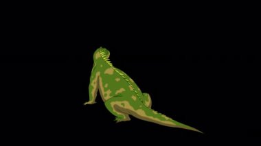 Yeşil iguana arka plan. El yapımı animasyon 4K görüntüleri alfa kanalı ile izole edildi. 