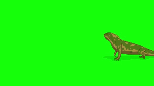 Iguana Verde Caminha Com Uma Parada Imagens Animadas Artesanais Isoladas — Vídeo de Stock