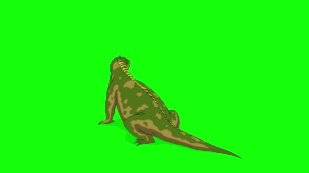 Green Iguana Back View Handmade Animated Footage Isolated Green Screen — ストック動画