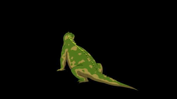 Green Iguana Back View Handmade Animated Footage Isolated Alpha Channel — ストック動画