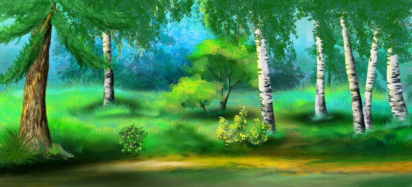 Path between trees in the forest on a sunny day. Digital Painting Background, Illustration.