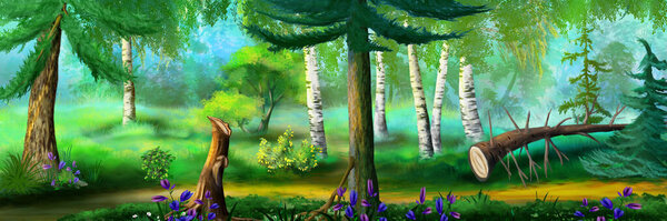 Path between trees in the forest on a sunny day. Digital Painting Background, Illustration.