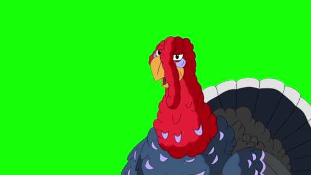 Turkey Suddenly Jumps Out Screams Hides Back Handmade Animated Footage — Stock Video