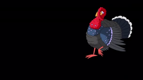 Red Head Turkey Bird Walks Handmade Animated Footage Isolated Alpha — Stock Video