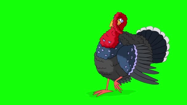 赤い頭の七面鳥の鳥が歩く 緑の画面に隔離された手作りのアニメーションHd映像 — ストック動画