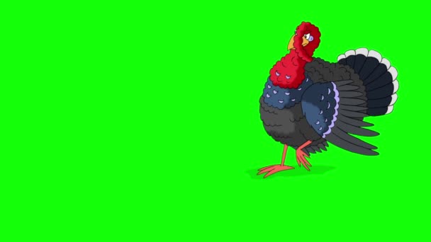 Rode Kop Kalkoen Vogel Loopt Handgemaakte Geanimeerde Beelden Geïsoleerd Groen — Stockvideo