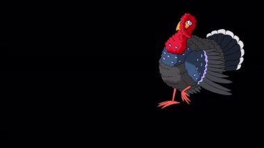 Kızıl saçlı hindi yürüyor. El yapımı animasyon 4K görüntüleri alfa kanalı ile izole edildi. 