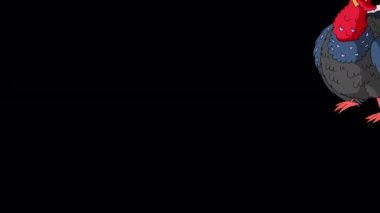 Kızıl saçlı hindi yürüyor, duruyor ve çığlık atıyor. El yapımı animasyon 4K görüntüleri alfa kanalı ile izole edildi. 