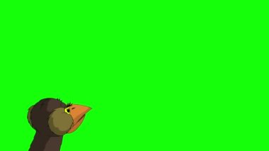 The head of an ostrich appears and disappears. Handmade animated HD footage isolated on green screen