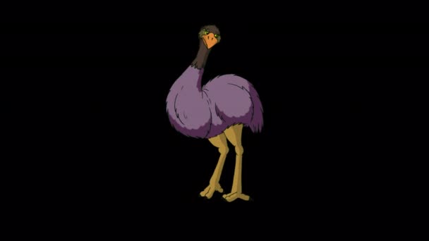 Ostrich Sits Gets Handmade Animated Footage Isolated Alpha Channel — Stock video