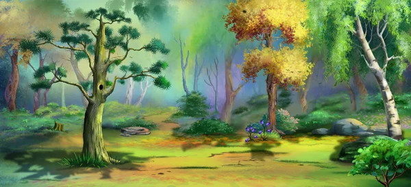 Orman açıklığında oyuğu olan büyük bir çam ağacı. Dijital Boyama Arkaplanı, Resimler.