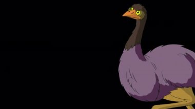 The ostrich comes, screams and leaves. Handmade animated 4K footage isolated with alpha channel.