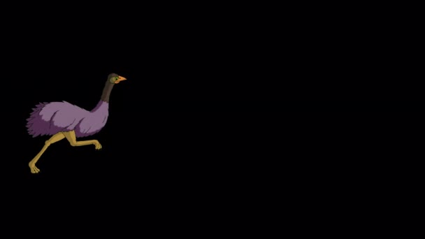 Ostrich Runs Back Forth Handmade Animated Footage Isolated Alpha Channel — Video