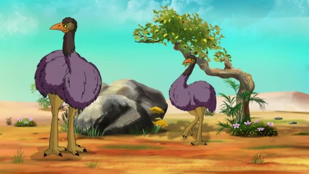 Ostriches African Savannah Handmade Animated Footage — Video Stock