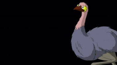 Gray ostrich comes, screams and leaves. Handmade animated HD footage isolated with alpha channel. 