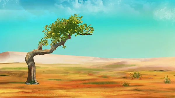 Lonely tree in the African savannah. Digital Painting Background, Illustration.