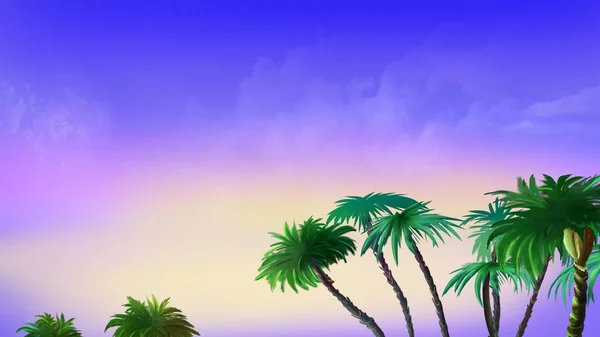 Kolorowe Niebo Nad Koronami Palm Cyfrowe Tło Malarstwa Ilustracja — Zdjęcie stockowe
