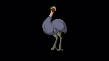 Gri devekuşu oturur ve kalkar. El yapımı animasyon 4K görüntüleri alfa kanalı ile izole edildi. 