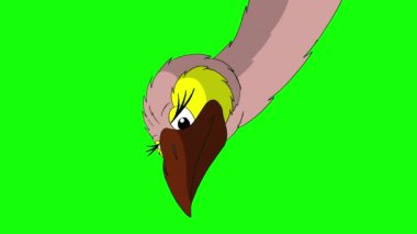 Head of an ostrich appears and disappears. Handmade animated 4K footage isolated on green screen