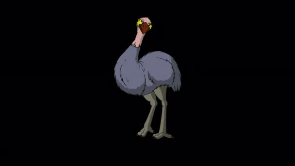 Gray Ostrich Duduk Dan Berdiri Rekaman Animasi Buatan Tangan Diisolasi — Stok Video