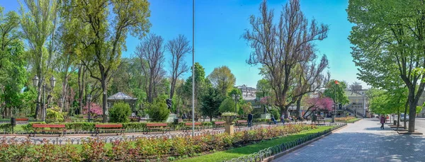 Odessa Ukraine 2022 City Garden Odessa War Ukraine Sunny Spring — Stock Photo, Image