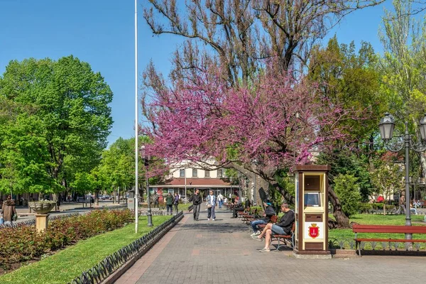 Odessa Ukraine 2022 City Garden Odessa War Ukraine Sunny Spring — Photo