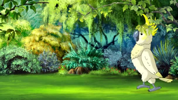 在阳光灿烂的日子里 白色的鹦鹉鹦鹉在热带雨林里散步 手工制作的动画Hd画面 — 图库视频影像