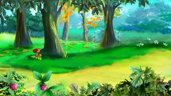 阳光灿烂的日子 森林里的小径 数码绘画背景 — 图库照片
