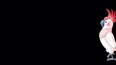 Pembe papağan gelip gidiyor. El yapımı HD görüntüler alfa kanalı ile izole edildi. 