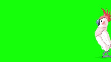 Pembe papağan gelip gidiyor. El yapımı animasyon 4K görüntüler yeşil ekranda izole edildi.