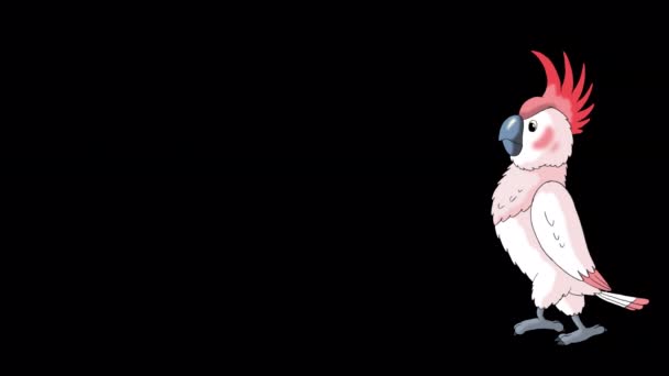 Roze Kaketoe Papegaai Komt Gaat Weg Handgemaakte Geanimeerde Beelden Geïsoleerd — Stockvideo