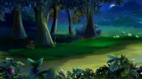 Weg Einem Wald Der Nacht Digitale Malerei Hintergrund Illustration — Stockfoto