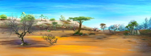 Paisagem Deserto Savana Africana Dia Quente Pintura Digital Fundo Ilustração — Fotografia de Stock