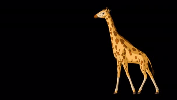 Stora Giraffen Går Fram Och Tillbaka Hela Vägen Handgjorda Animerade — Stockvideo