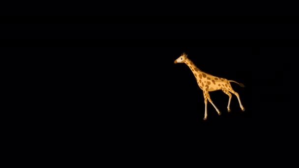 Grosse Girafe Vient Très Loin Vidéo Animée Main Isolée Avec — Video