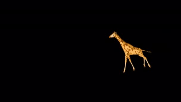 Velká Žirafa Utíká Zastavuje Extrémní Výstřel Ručně Animované Záběry Izolované — Stock video