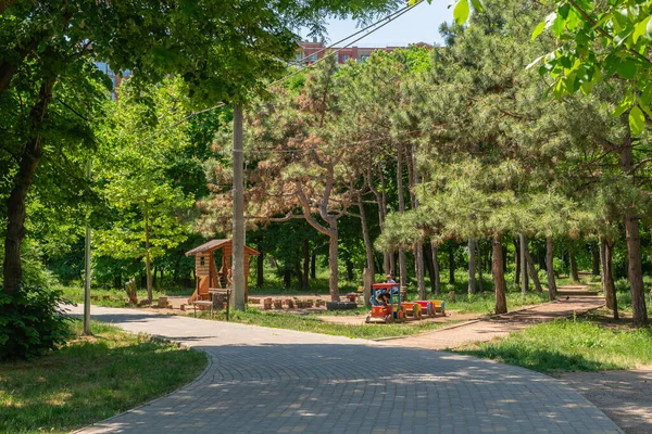 Odessa Ukraina 2022 Aleje Parku Wolności Odessie Ukraina Słoneczny Wiosenny — Zdjęcie stockowe