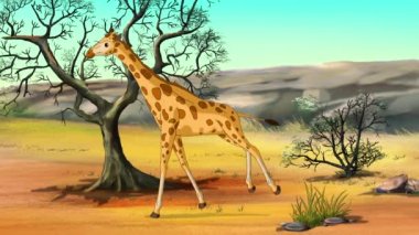 Güneşli bir günde bozkırda Afrika zürafaları. El yapımı HD animasyon görüntüleri