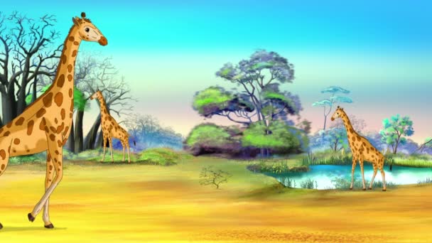 Afrikanska Giraffer Savannen Solig Dag Handgjorda Animerade Filmer — Stockvideo