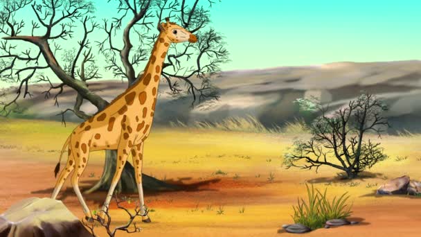Girafes Africaines Dans Savane Par Une Journée Ensoleillée Vidéos Animées — Video