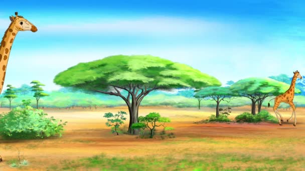 在阳光灿烂的日子里 非洲长颈鹿在热带草原生活 手工制作的动画Hd画面 — 图库视频影像
