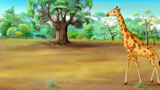 Girafes Africaines Savane Par Une Journée Ensoleillée Vidéos Animées Faites — Video